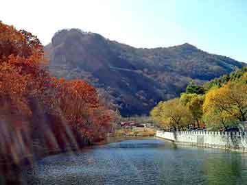 澳门今晚一肖必中特，养牛前景